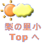 ̗  Top 